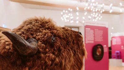 Museumspädagoginnen und Museumspädagogen informieren am Samstag, 1. August, 15 Uhr vor Ort: 